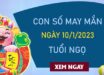 Con sá»‘ may máº¯n tuá»•i Ngá»� 10/1/2024 â€“ HÃ´m nay Ä‘Ã¡nh con gÃ¬?