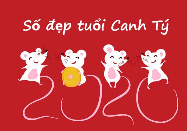 tuổi canh tý